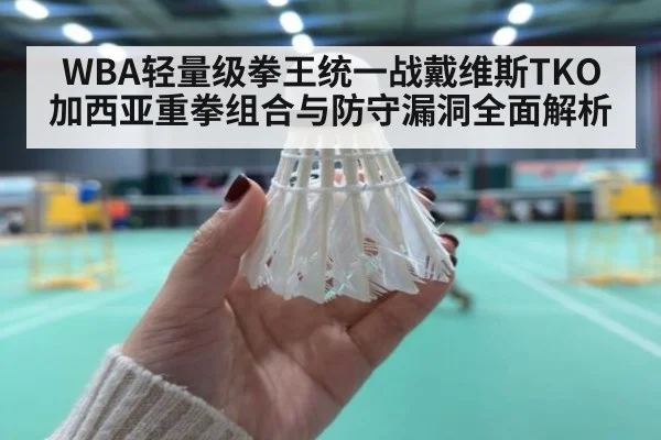 WBA轻量级拳王统一战戴维斯TKO加西亚重拳组合与防守漏洞全面解析